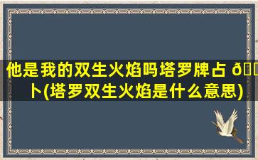 他是我的双生火焰吗塔罗牌占 🌵 卜(塔罗双生火焰是什么意思)